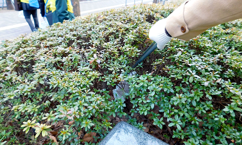 隠すように捨てられる