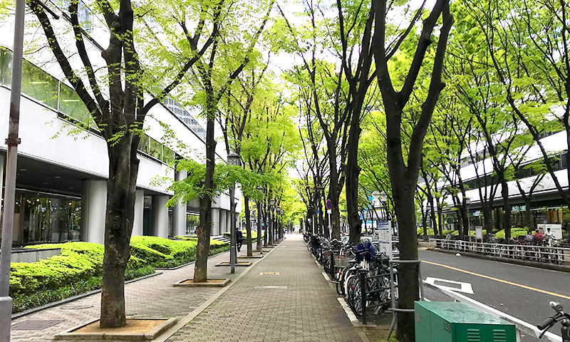 OBPの景色が変わる