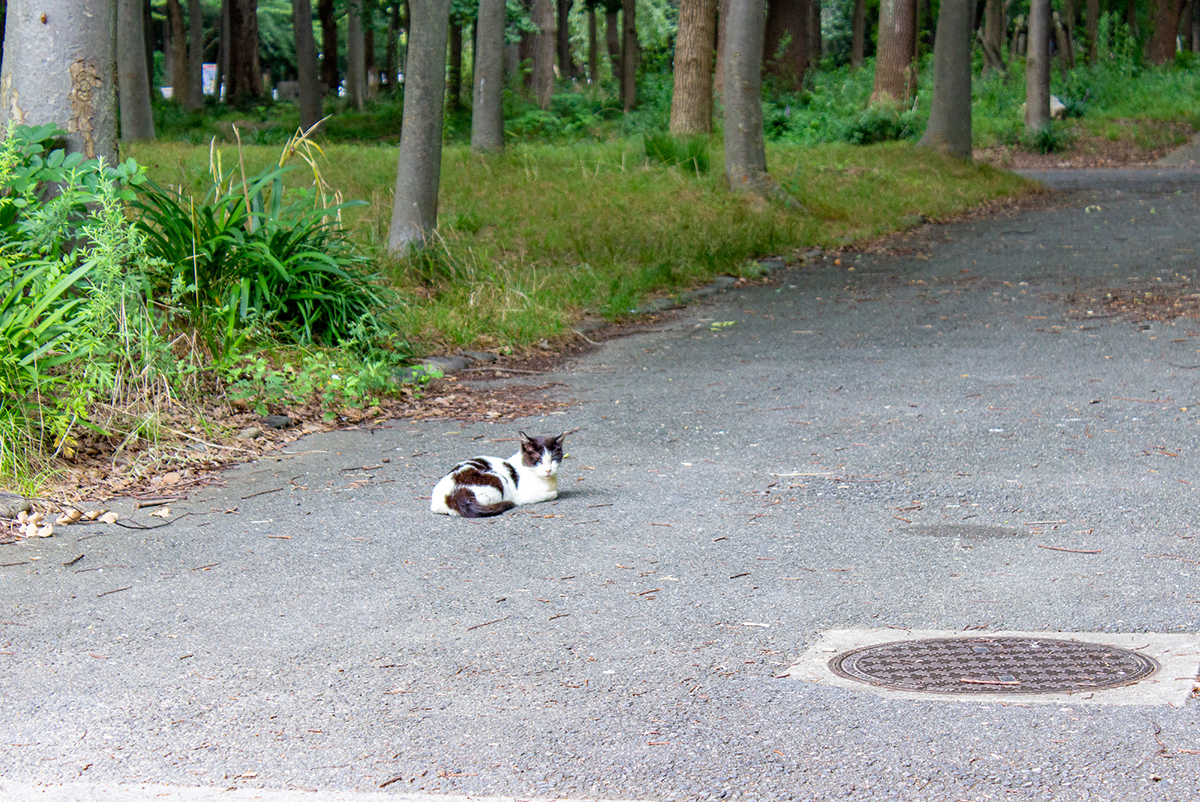 大阪城公園