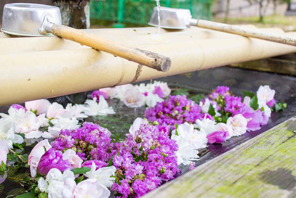 7月の花手水
