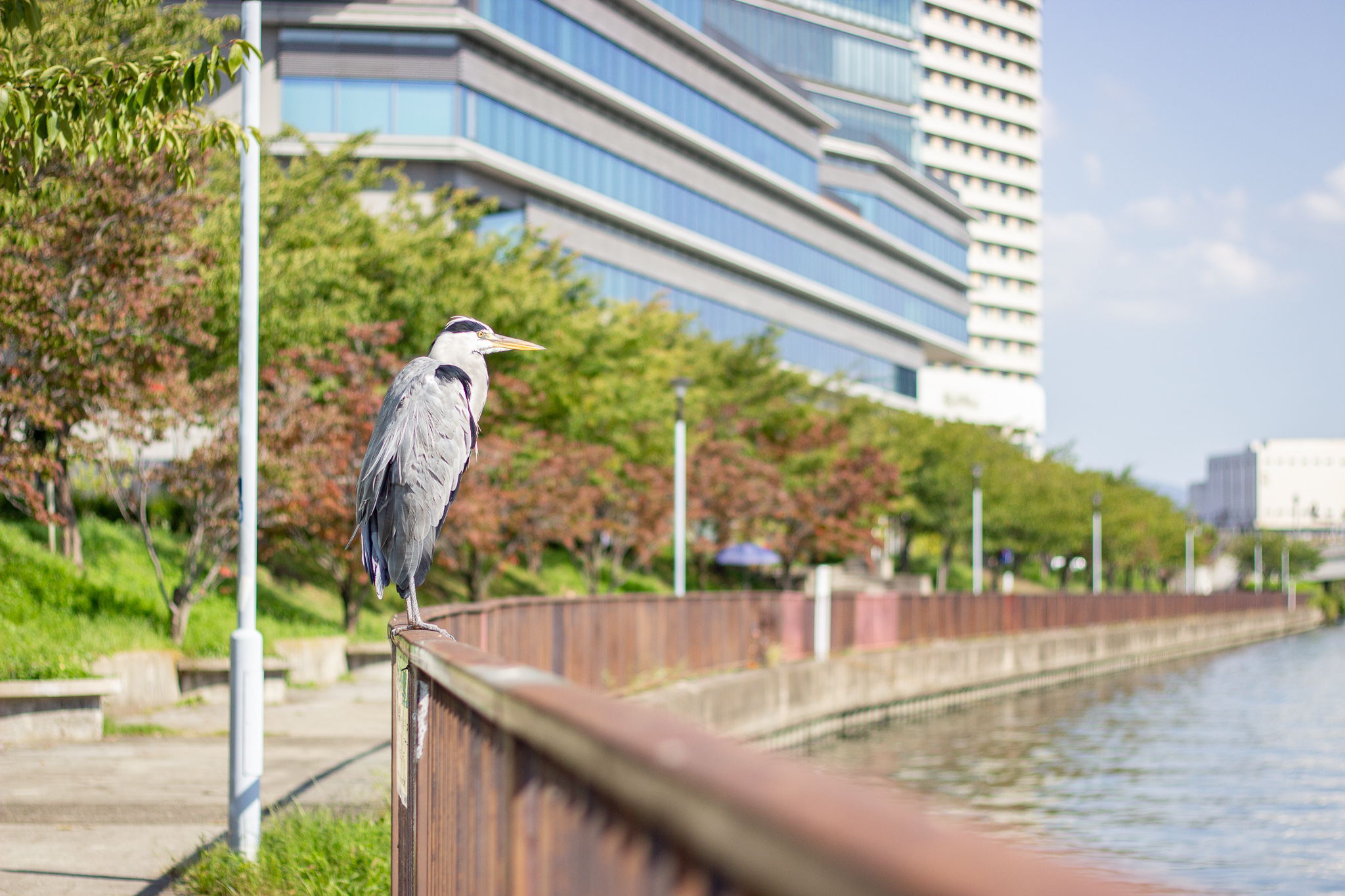 水と緑、生き物、歴史、あらゆる“OBP”が詰まった場所