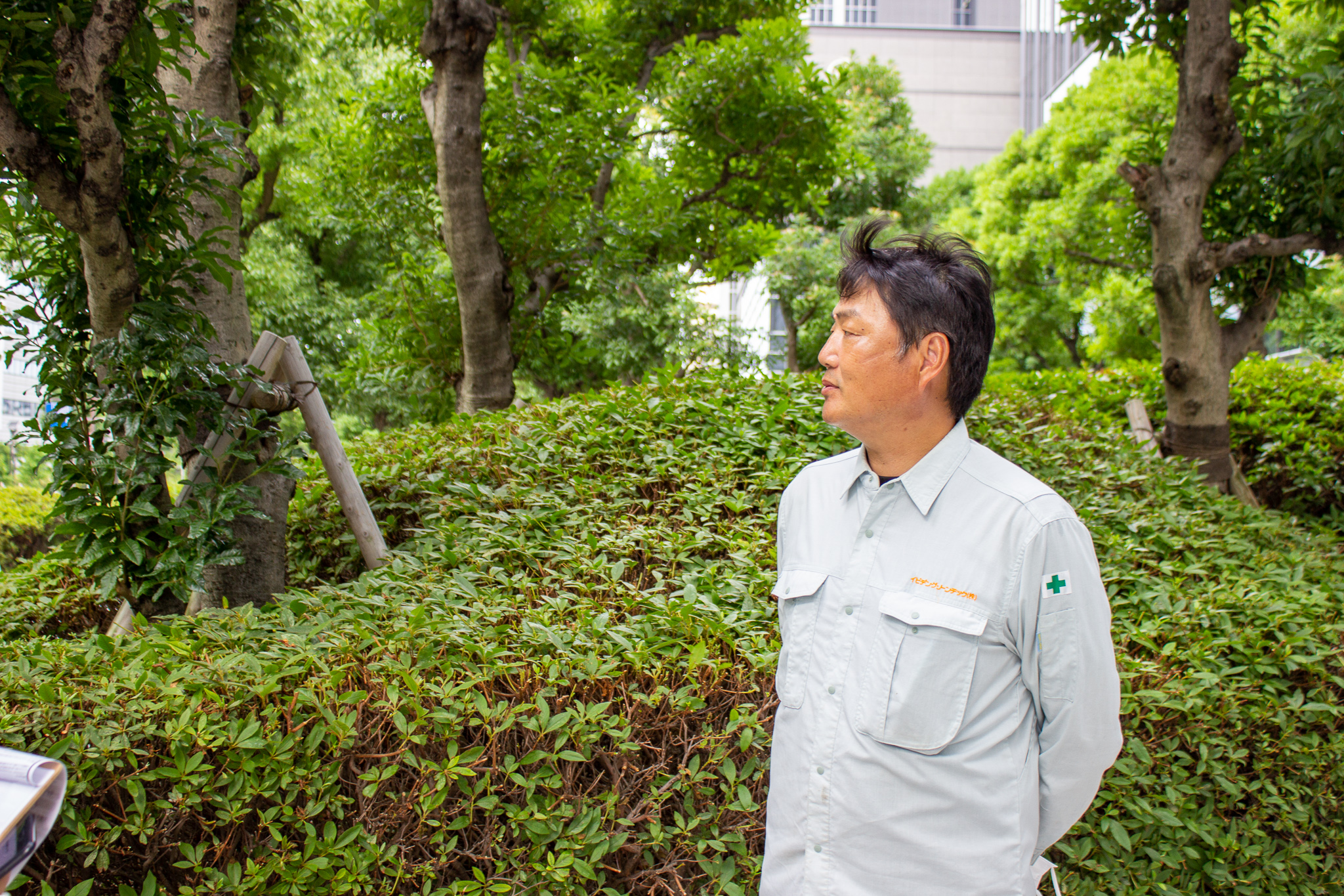 植栽のビフォーアフターは一番の見どころ