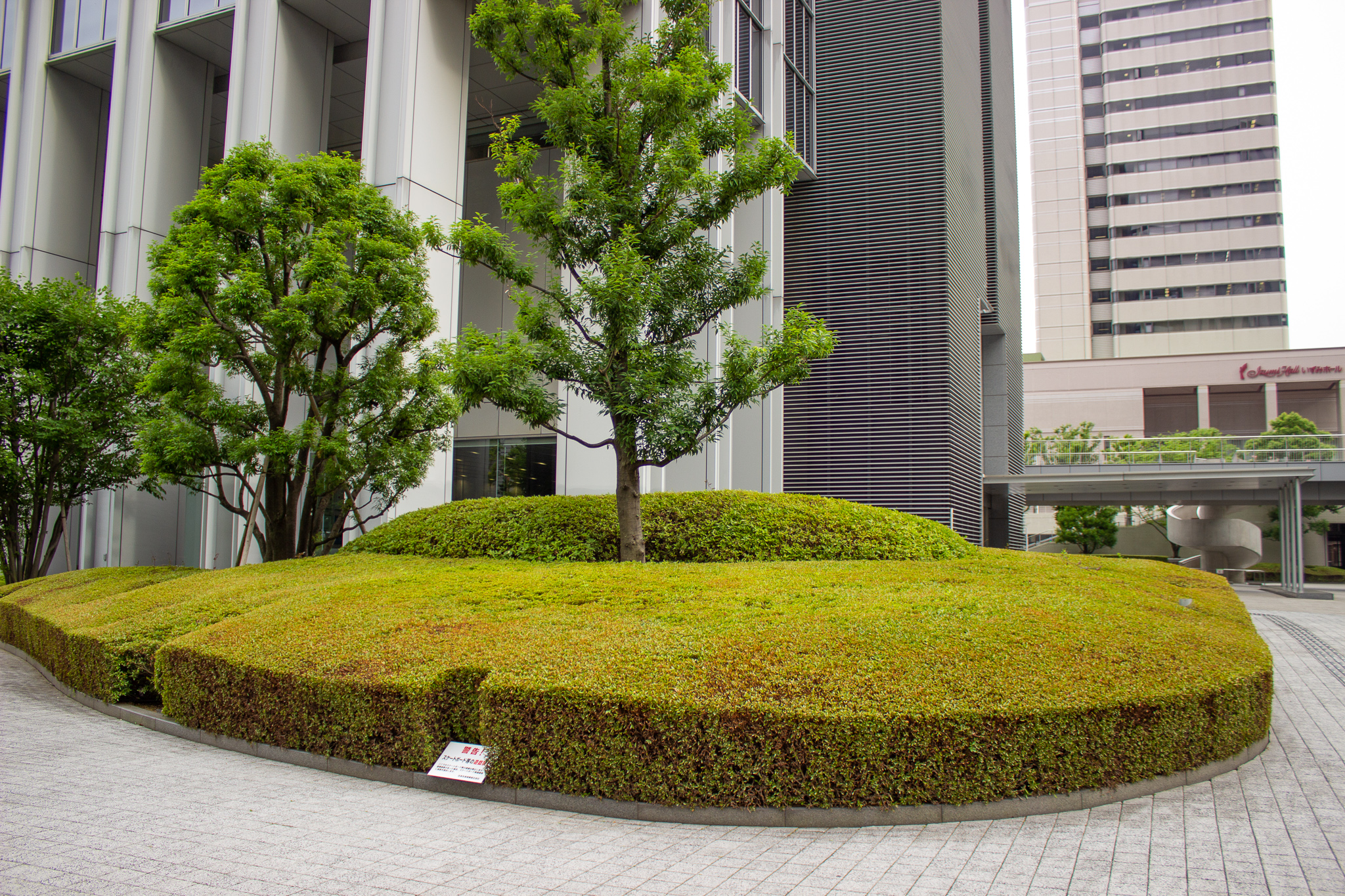植栽のビフォーアフターは一番の見どころ
