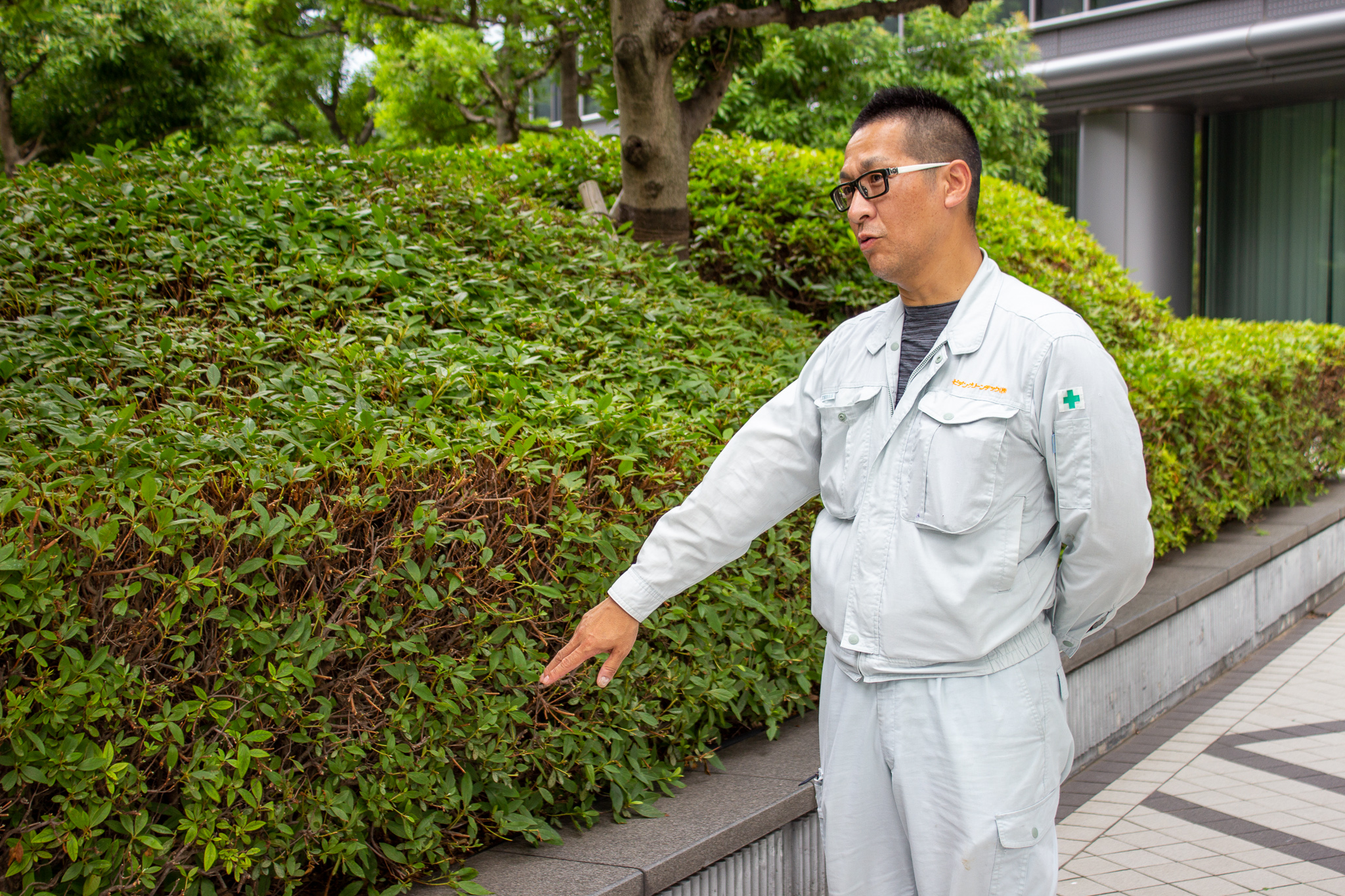 ビルの管理会社との連携で、植物を見守る