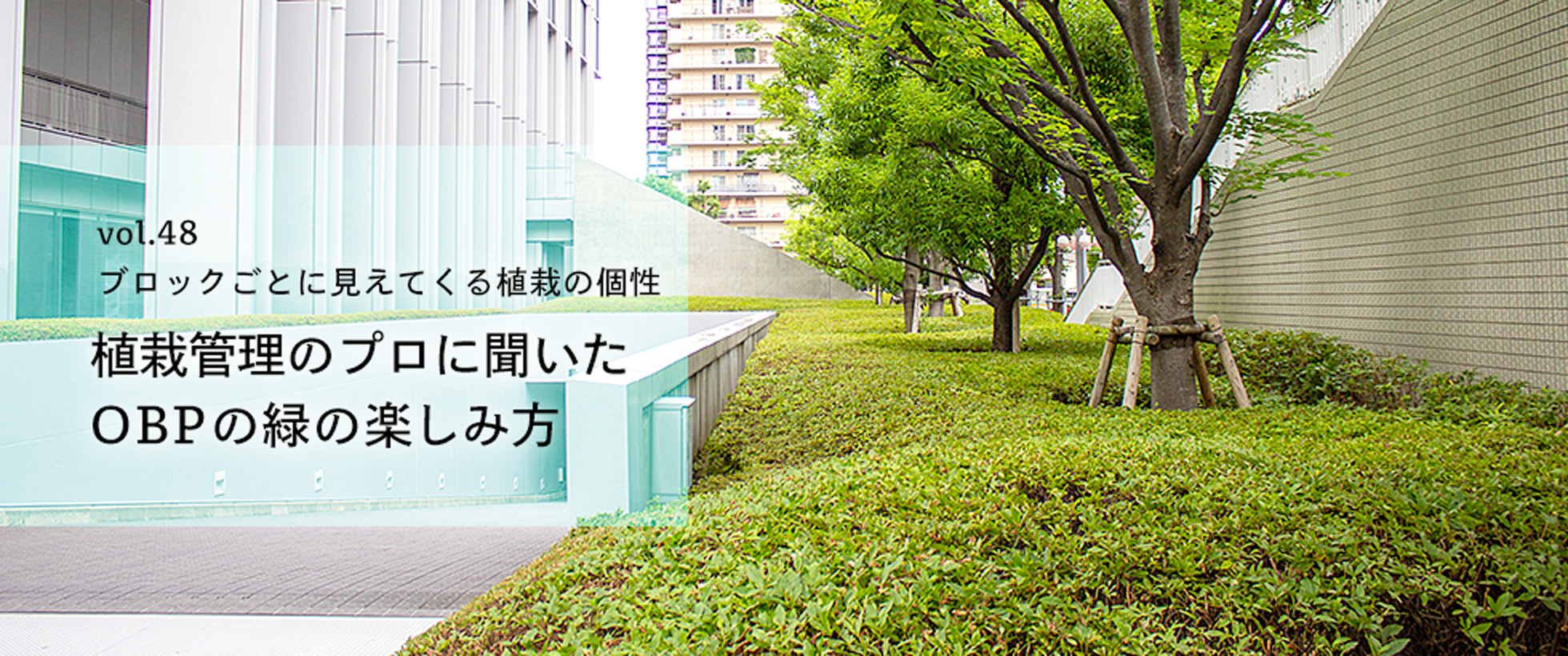 vol.48　ブロックごとに見えてくる植栽の個性 植栽管理のプロに聞いたOBPの緑の楽しみ方