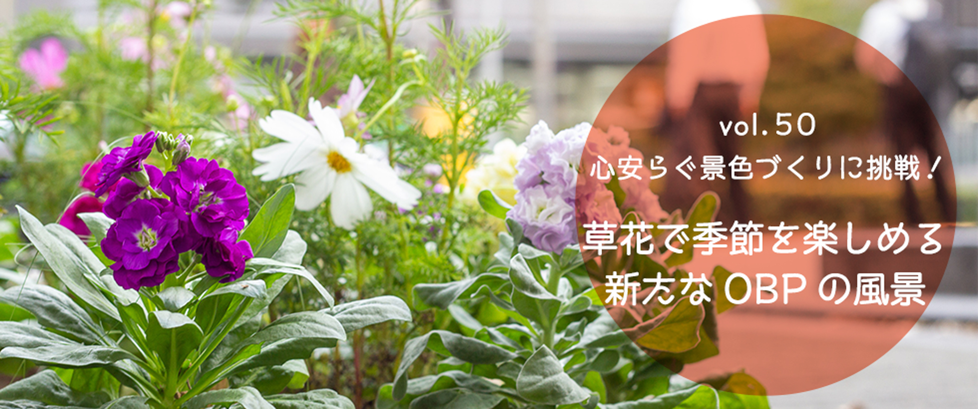 vol.50　心安らぐ景色づくりに挑戦！草花で季節を楽しめる新たなOBPの風景