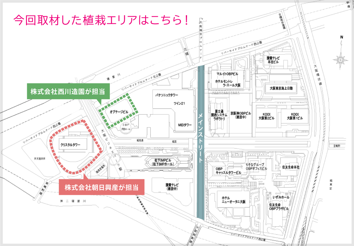 ビル管理者とともに植栽のコンセプトを共有しを守る