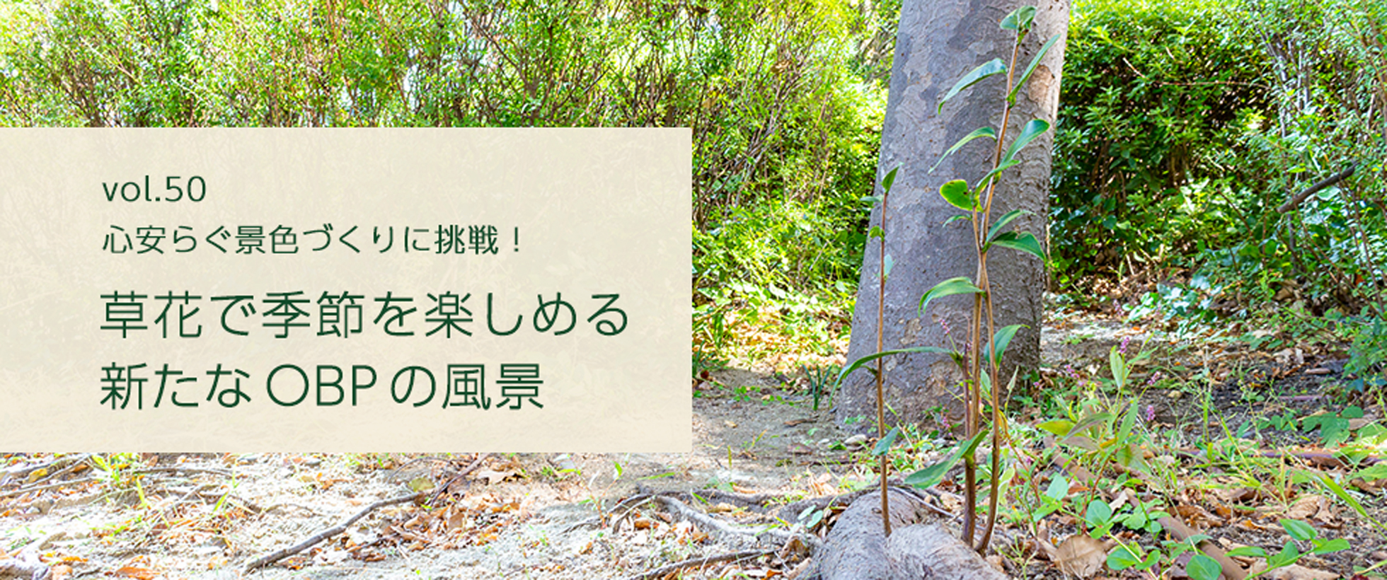 vol.51　植物を知ると日々が豊かになる OBPの植栽に現れる個性と、管理の工夫